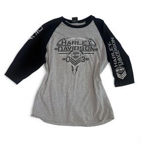 Harley-davidson Men's Grey and Black Shirt